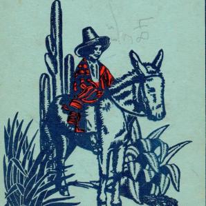 cover crop littlemexicandonkeyboy